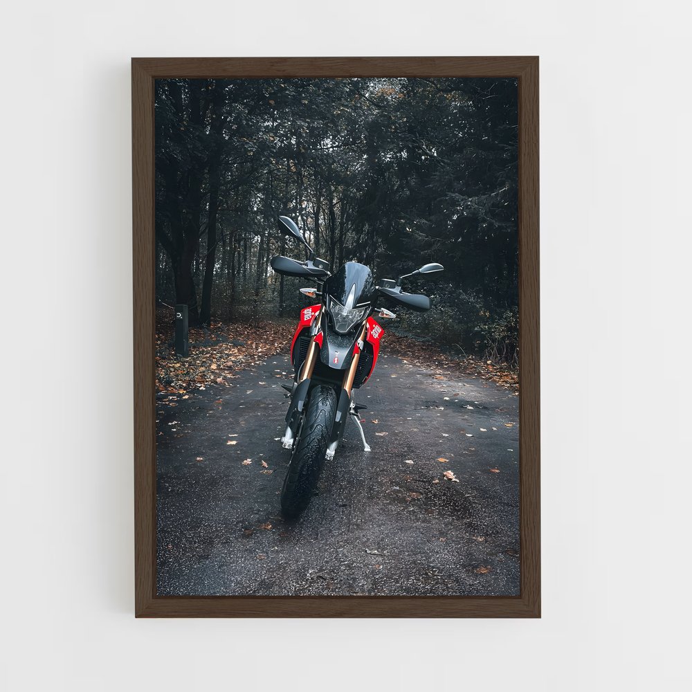Poster Dorsoduro captivant – affiche Aprilia (vue 5)